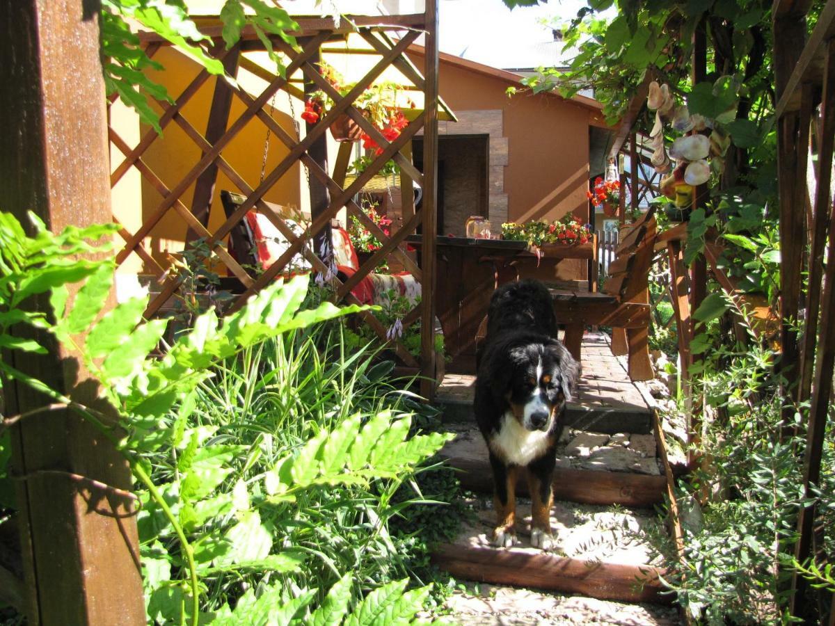 Farm stay U Ani Krosnica (Lesser Poland)